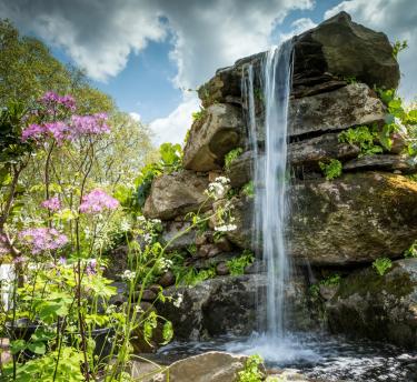 Waterfall surrounded by plants at the Chelsea Flower Show